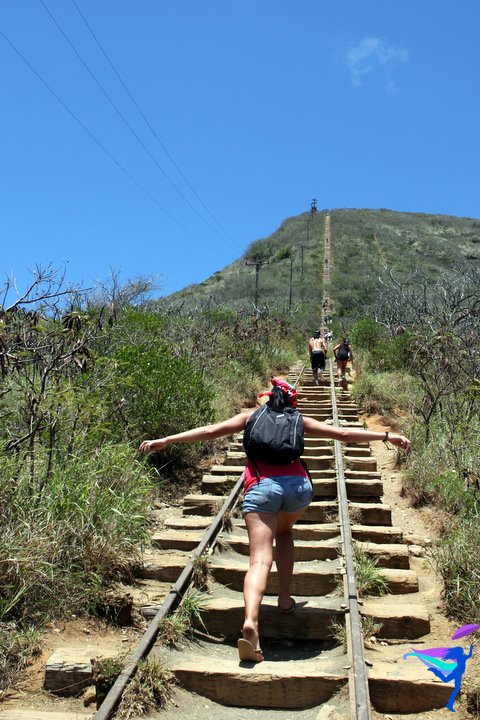 Koko Crater Railway Trail-Honolulu, Hawaii | The Legendary Adventures ...