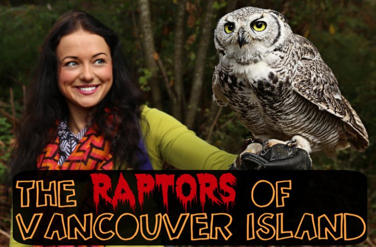 The Raptors of Vancouver Island, British Columbia